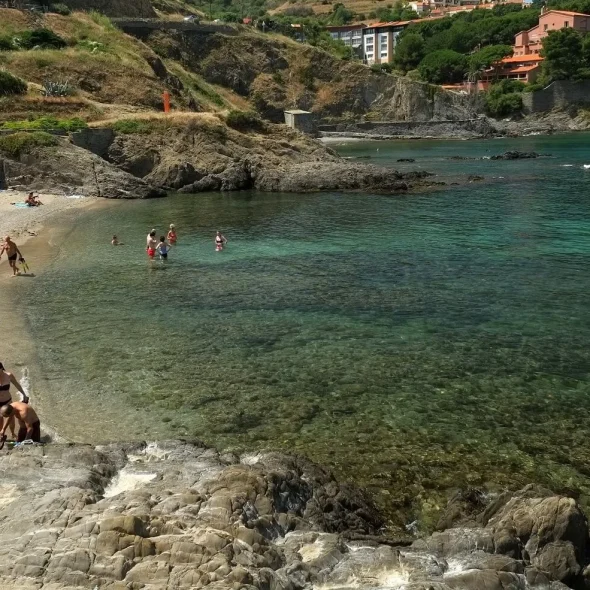 topito-les-top-activites-a-faire-en-famille-plage-collioure-