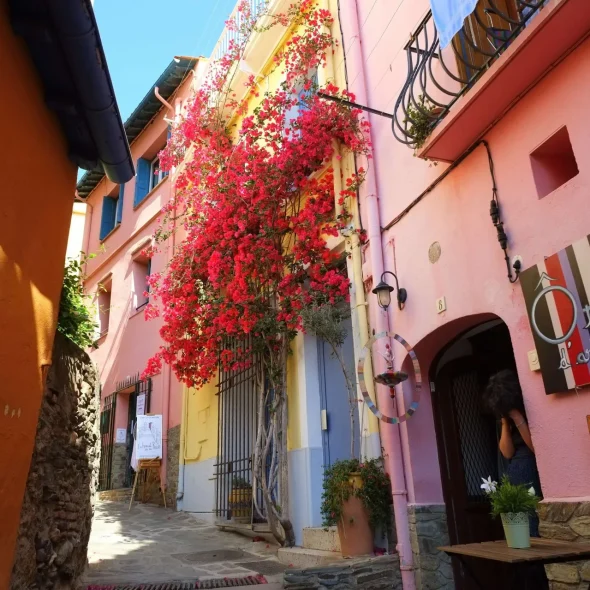 10 buenas razones para venir a Collioure