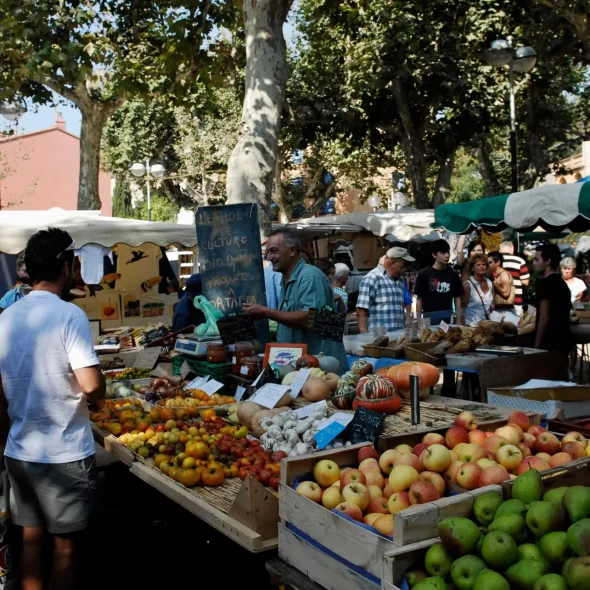 10 buenas razones para venir a Collioure